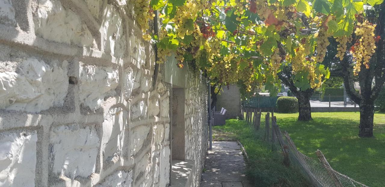 Вілла Wifi Clim Garage Jardin Bbq Cosy House Брив-ла-Гаярд Екстер'єр фото